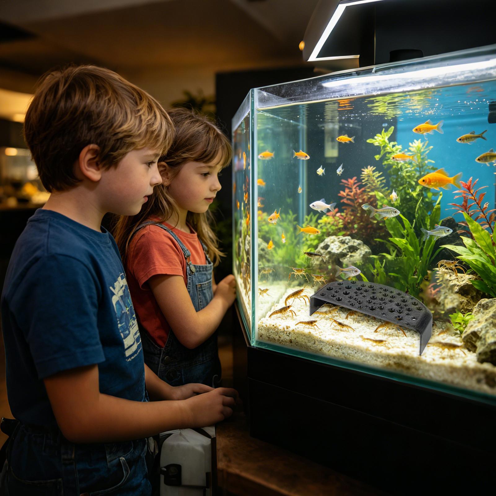 Ozdoba do akwarium dla zwierzą – Aquatic Zone recenzja i cena