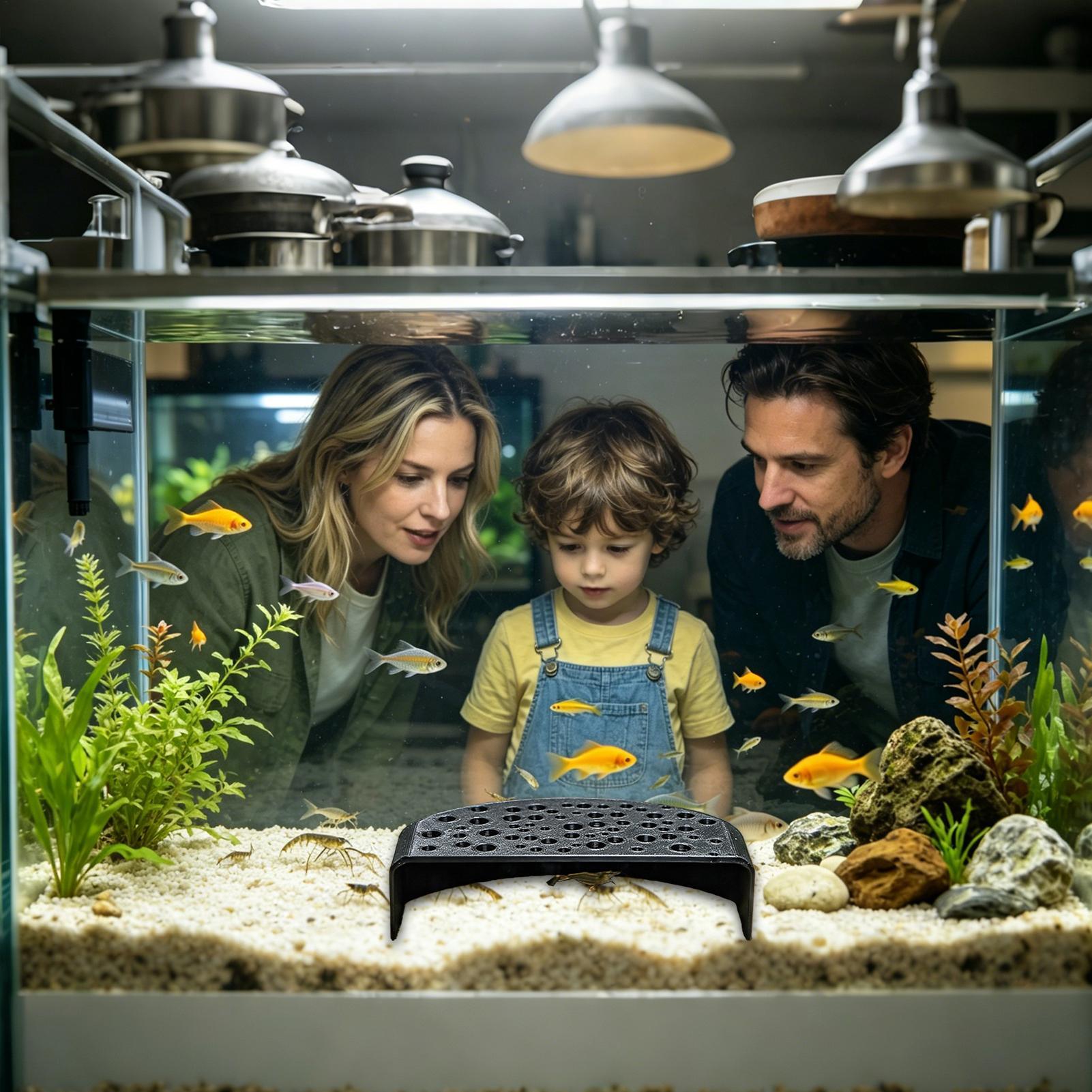 Ozdoba do akwarium dla zwierzą – Aquatic Zone recenzja i cena